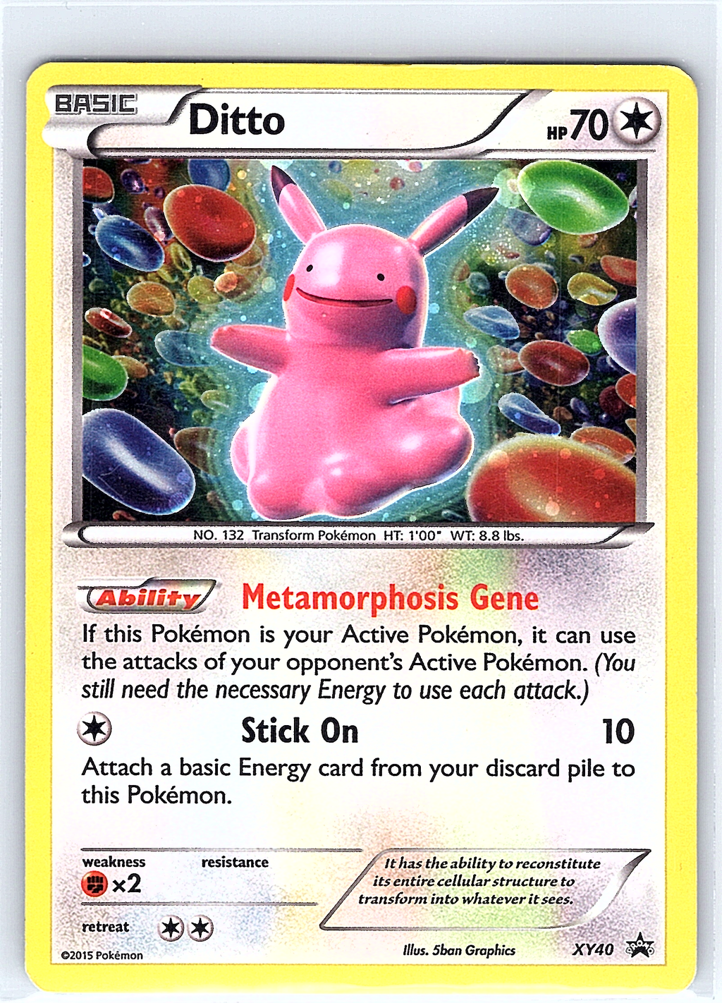 Ditto XY40