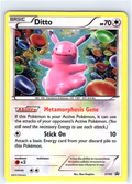 Ditto XY40