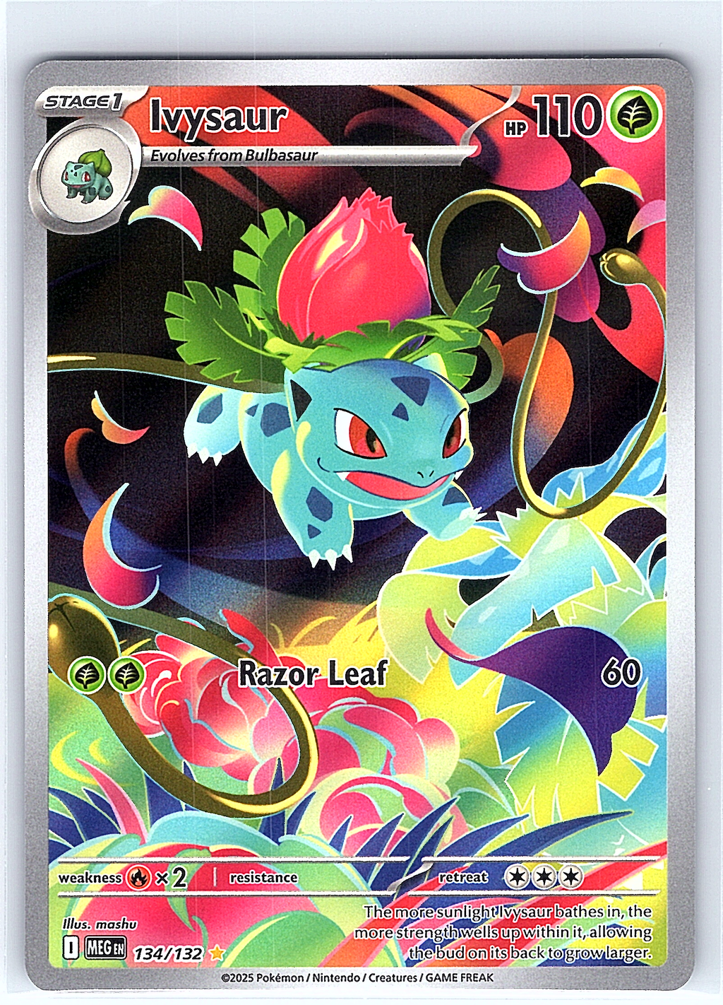 Ivysaur 134/132