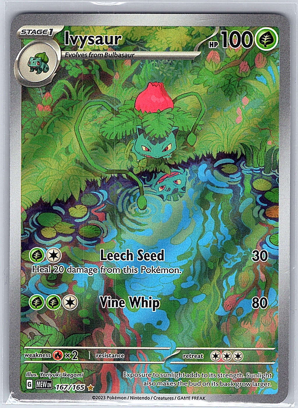 Ivysaur 167/165